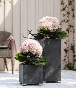 Bauern-Hortensie 'Avantgarde' -Gartenmöbelgeschäft 20210415 WE MO 001 HortensieAvantgarde BL08 2022 01