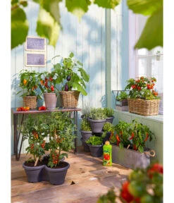 Van Der Leeden Rattan-Pflanzkasten, Graubraun -Gartenmöbelgeschäft 3679347 3692761 5215942 1524404 WE MO 001 RattantopfRattankastenKunststofftopfCorsicaDehnerBioGemueseduenger