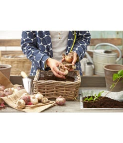 Van Der Leeden Rattan-Pflanzkasten, Graubraun -Gartenmöbelgeschäft 3692761 3692548 3692506 WE MO 008 RattanPflanzkastenbraunBlumenkasten