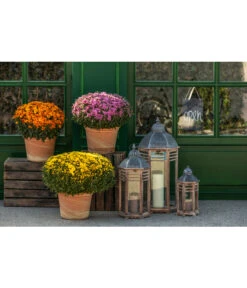 Spang Terrakotta-Topf Toscana, Rund -Gartenmöbelgeschäft 3697612 WE MO 003 TerrakottaTopfToscana