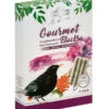 Dehner Natura Premium Wildvogelfutter Gourmet Blocks Mit Vogelbeeren -Gartenmöbelgeschäft 4206926 WE FS 001 DehnerNaturaWildvogelfutterGourmetBlocksVogelbeeren