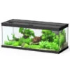 Dehner Aqua Premium Aquarium-Set ProLine 100, Schwarz, 160 L, Ca. B100/H40/T40 Cm -Gartenmöbelgeschäft 4277224 WE FS 001 DehneAquaPremiumProLine100
