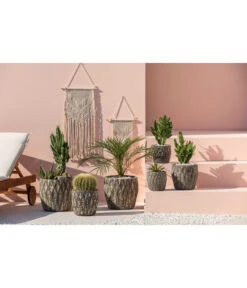 Feigenkaktus - Opuntia Consolea -Gartenmöbelgeschäft 4432415 PR MO 001 KeramikTopfNero