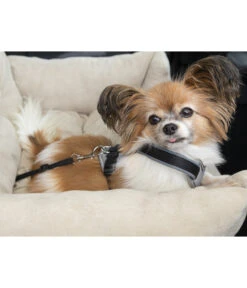 Dehner Lieblinge Reisebett Dream Team, Beige, Ca. B54/H34/T50 Cm -Gartenmöbelgeschäft 6909790 WE MO 003 DehnerLieblingeTransportsofa