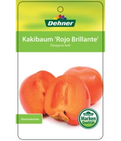 Dehner Kaki 'Rojo Brillante' - Kaki-Pflaume 'Rojo Brillante' 14 Dehner Kaki 'Rojo Brillante' - Kaki-Pflaume 'Rojo Brillante' -Gartenmöbelgeschäft 7167414 KakiRojoBrillante Etikett 01