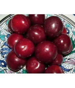 Gartenmöbelgeschäft -Gartenmöbelgeschäft 7600893 PR MO 001 AprikosenKirscheAprikyraPixabay