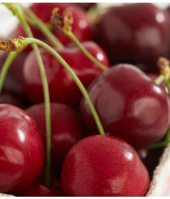 Gartenmöbelgeschäft -Gartenmöbelgeschäft 7620180 PR DE 001 KirscheBurlatDehnerExpressZS