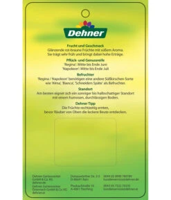 Kirschen-Duo 'Regina/Napoleon' -Gartenmöbelgeschäft 7738792 Suesskirschen DuoReginaNapoleon Etikett 2