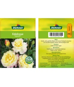 Edelrosen-Mix 'Nostalgie®' -Gartenmöbelgeschäft 7800063 AquarellEdelrose Etikett1