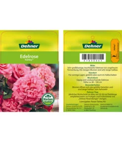 Edelrosen-Mix 'Nostalgie®' -Gartenmöbelgeschäft 7800063 AshleyEdelrose Etikett1