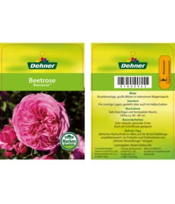 Edelrosen-Mix 'Nostalgie®' -Gartenmöbelgeschäft 7800063 BaronesseBeetrose Etikett1