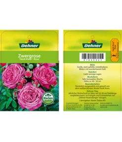 Edelrosen-Mix 'Nostalgie®' -Gartenmöbelgeschäft 7800063 HeidiKlumZwergrose Etikett1