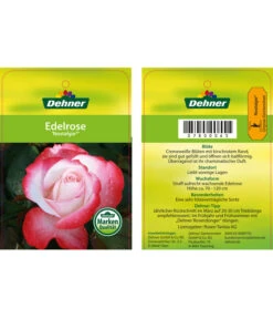 Edelrosen-Mix 'Nostalgie®' -Gartenmöbelgeschäft 7800063 NostalgieEdelrose Etikett1