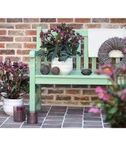 Schneerose 'Ice N' Roses® Red' - Helleborus Gold Collection® 9 Schneerose 'Ice N' Roses® Red' - Helleborus Gold Collection® -Gartenmöbelgeschäft 8010969 WE MO 001 HelleborusWeinrotDehnerExpressHerzig