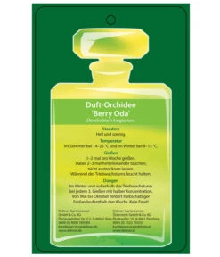 Duft-Traubenorchidee - Dendrobium Kingianum 'Berry' -Gartenmöbelgeschäft 8250714 DuftorchideeBeryyOdaEtikett2