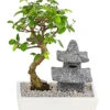 Bonsai Mit Buddha/Pagode, Verschiedene Sorten -Gartenmöbelgeschäft 8686669 PR FS 001 BonsaiMixMitBuddhaPagodeT18DehnerExpressHerzig